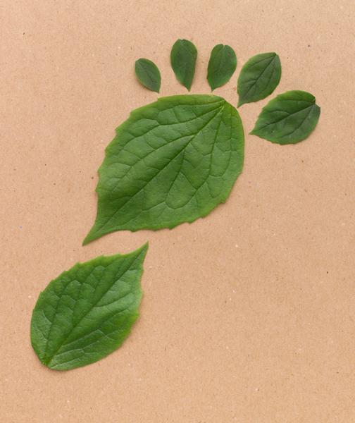 Adoptar la sostenibilidad como forma de vida