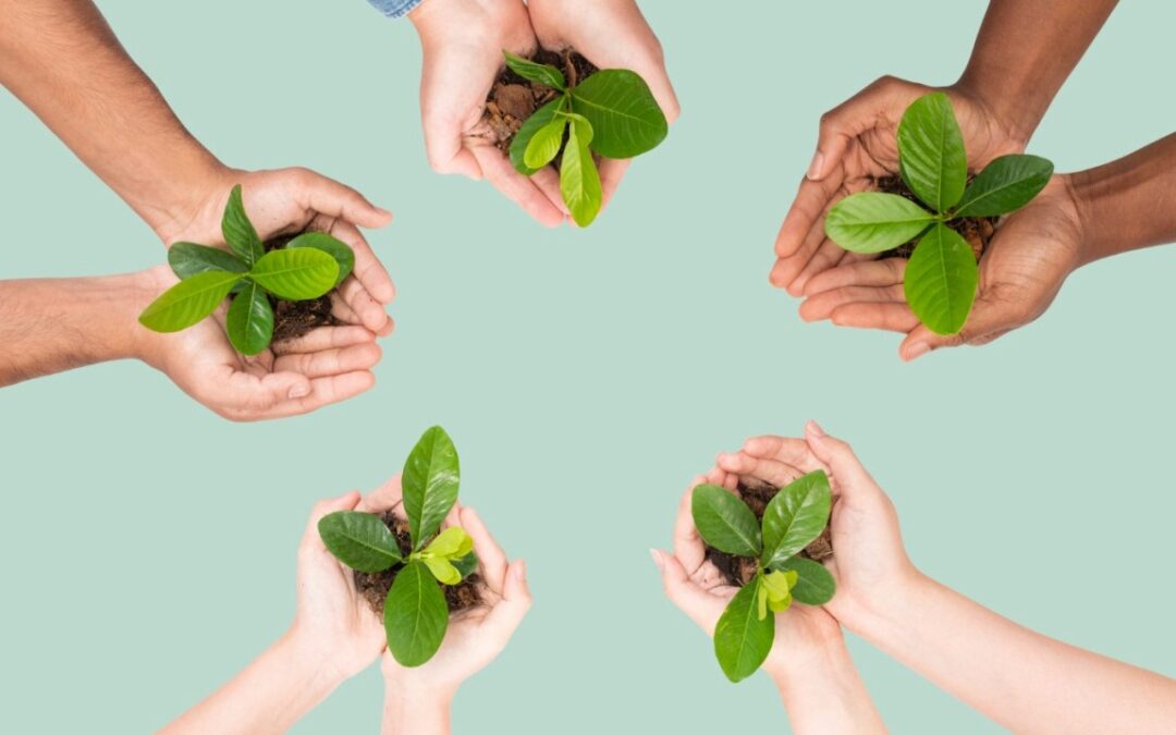 El Potencial Oculto se cultiva en equipo