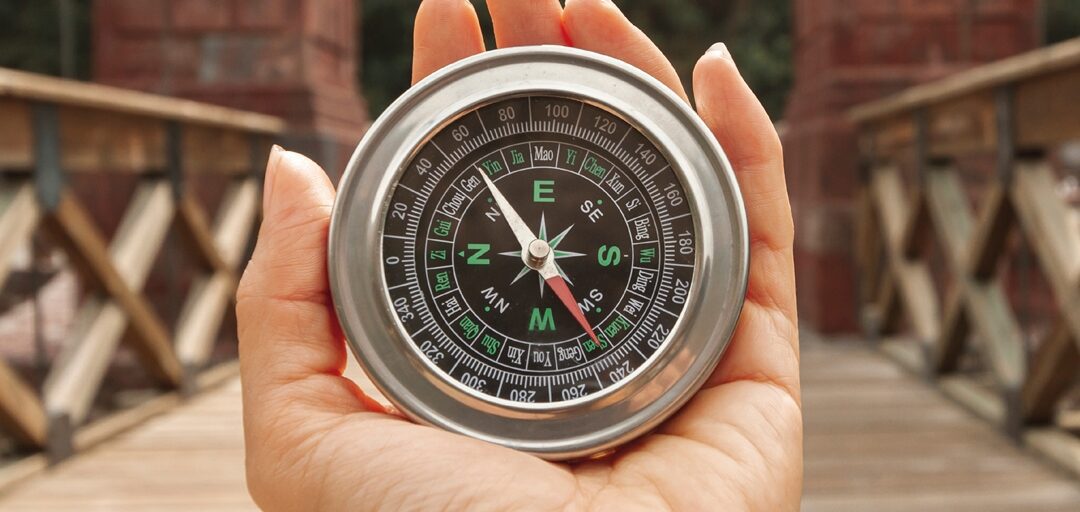 IA con sentido: El Ikigai como brújula para un futuro más humano