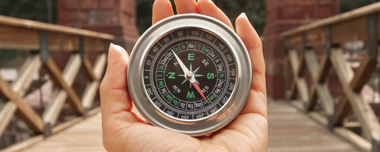 El Ikigai como brújula para un futuro más humano